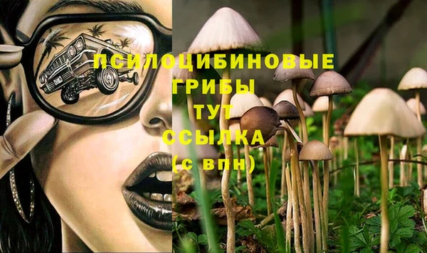 экстази Елизово