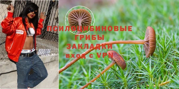экстази Елизово