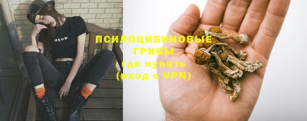 a pvp Ельня