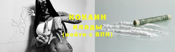 МДПВ Елабуга
