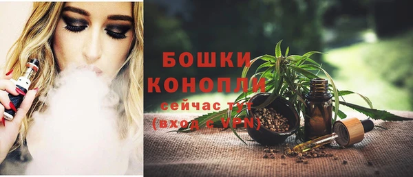 МДПВ Елабуга