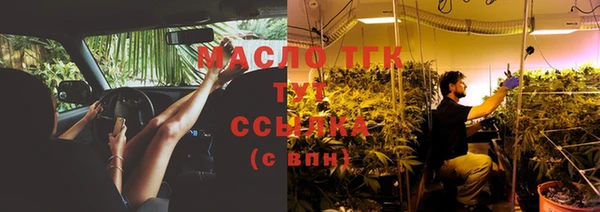 МДПВ Елабуга